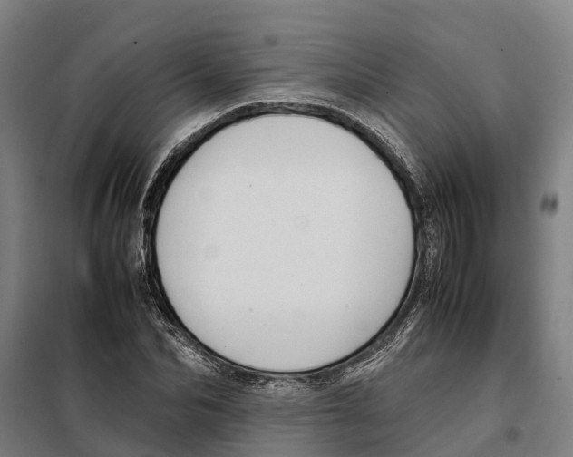X0000098000974200804211127