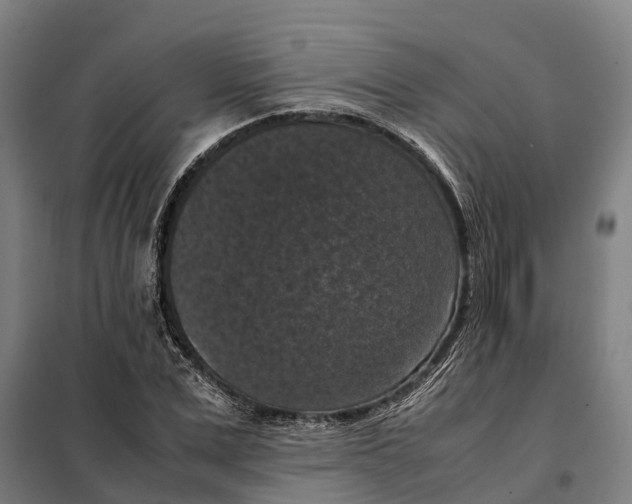 X0000098000975200804211127