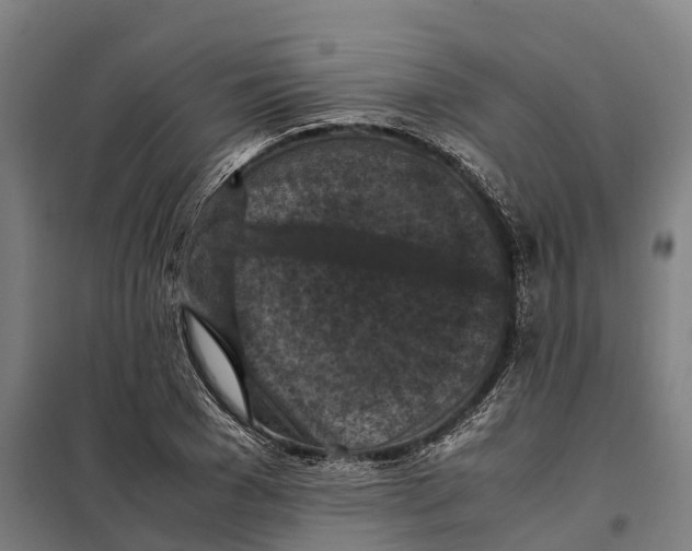 X0000098000977200804211127