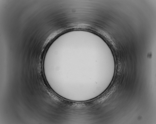 X0000098000978200804211126