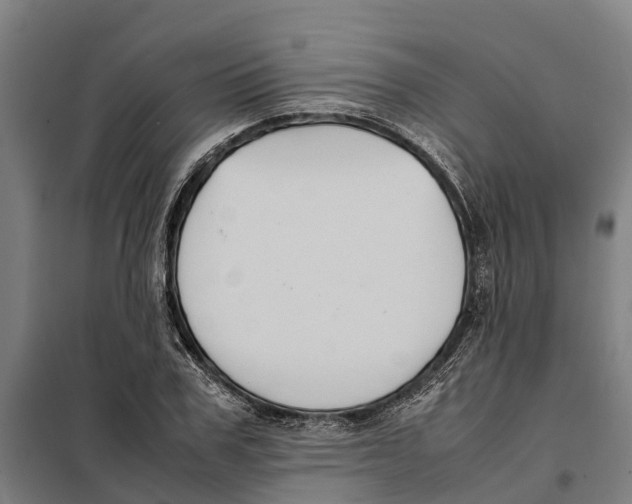 X0000098000979200804211126