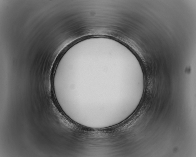 X0000098000980200804211126