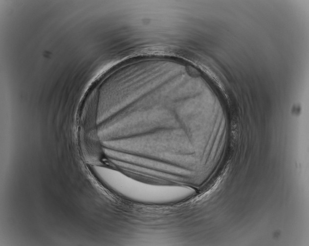 X0000098000981200804211126