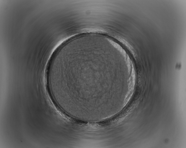 X0000098000983200804211126