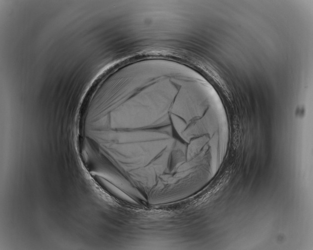 X0000098000984200804211126