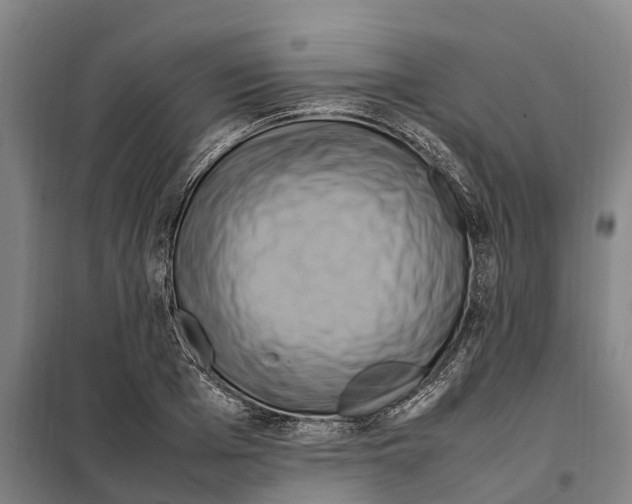 X0000098000985200804211126