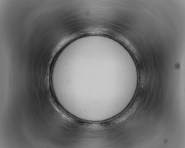 X0000098000986200804211126