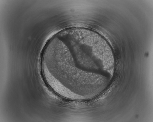 X0000098000987200804211126