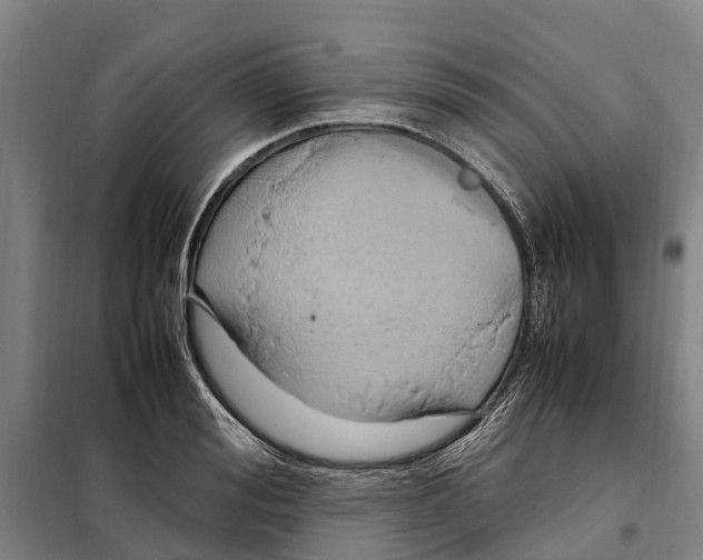 X0000098000988200804211126