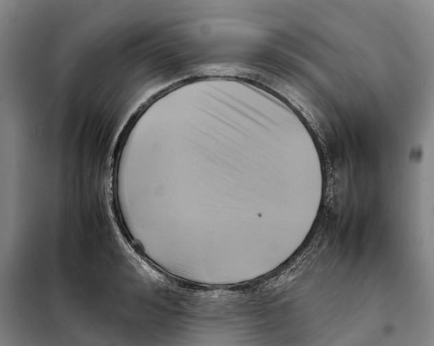 X0000098000992200804211126