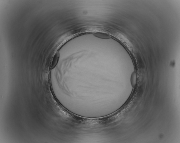 X0000098000993200804211126