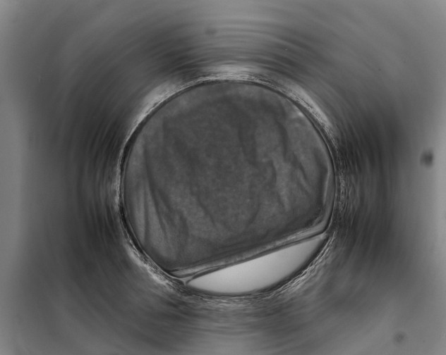 X0000098000994200804211126