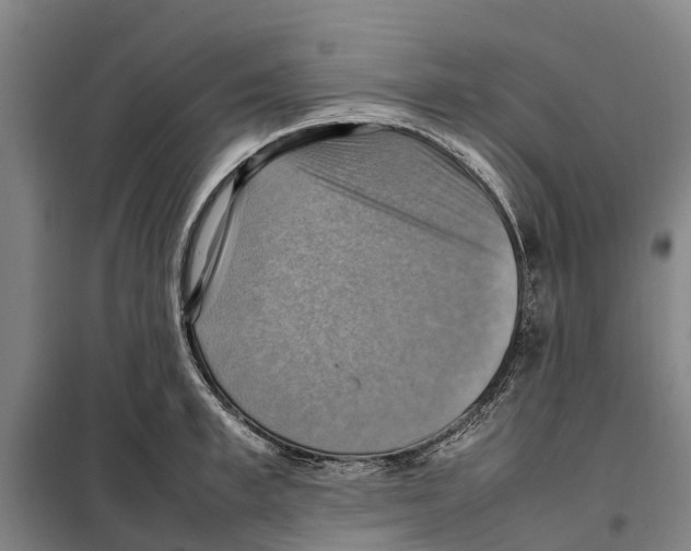 X0000098000997200804211126