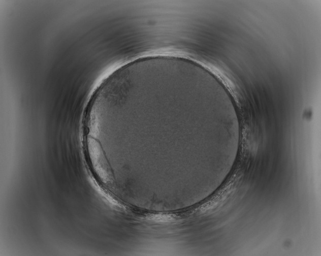 X0000098000998200804211126