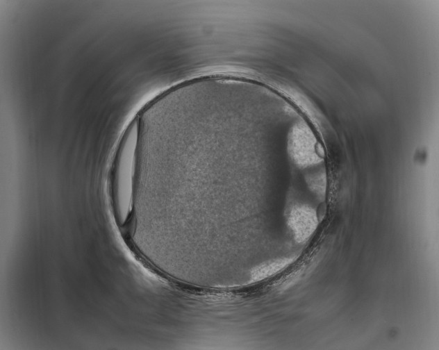 X0000098000999200804211126