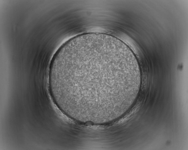 X0000098001000200804211126