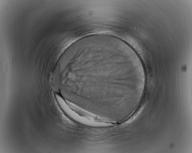 X0000098001001200804211126