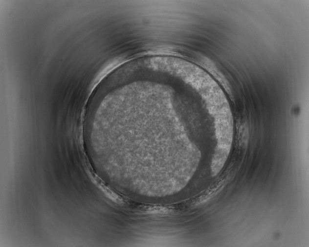 X0000098001002200804211126