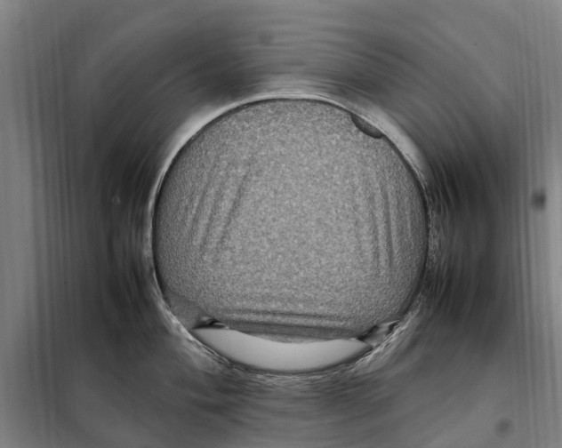 X0000098001004200804211126