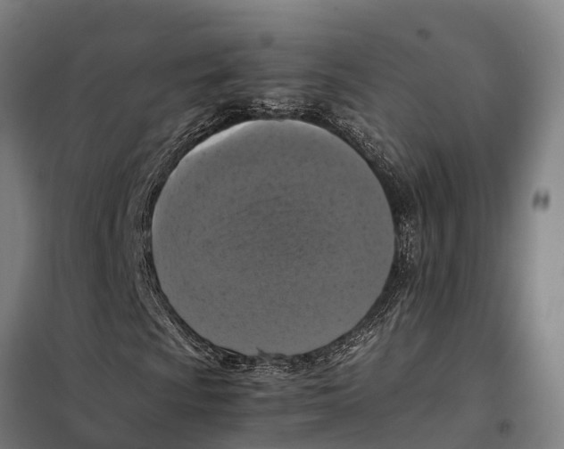 X0000098001009200804211125