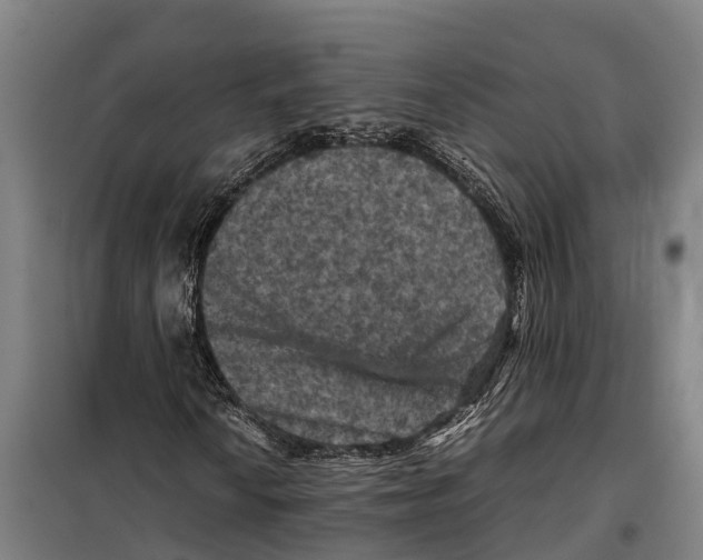 X0000098001010200804211125