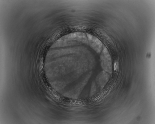 X0000098001011200804211125