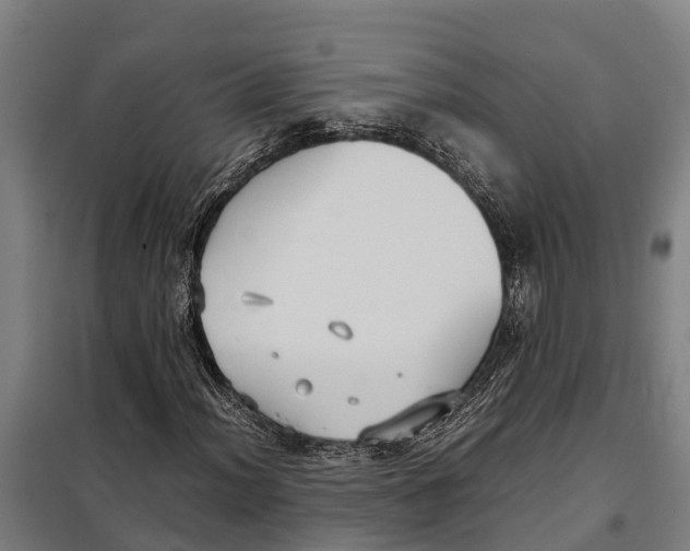 X0000098001012200804211125