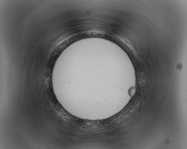 X0000098001015200804211125