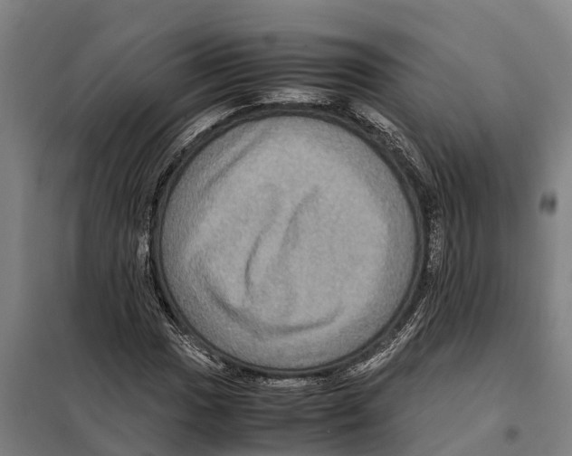 X0000098001017200804211125
