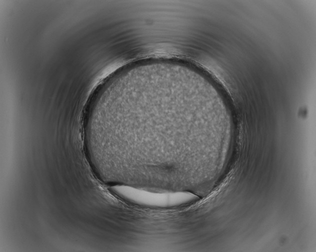 X0000098001018200804211125