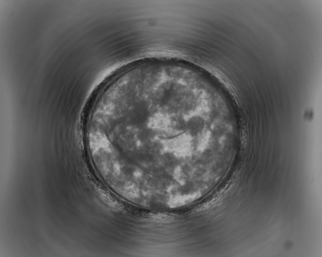 X0000098001022200804211125