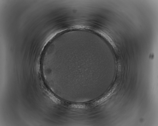 X0000098001023200804211125
