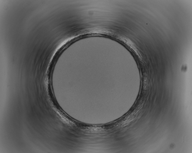 X0000098001024200804211125