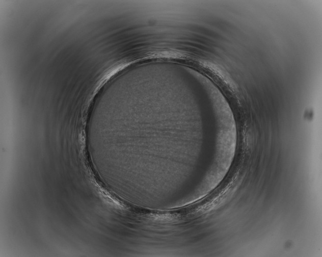X0000098001025200804211125
