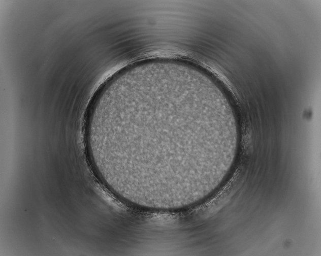 X0000098001026200804211125