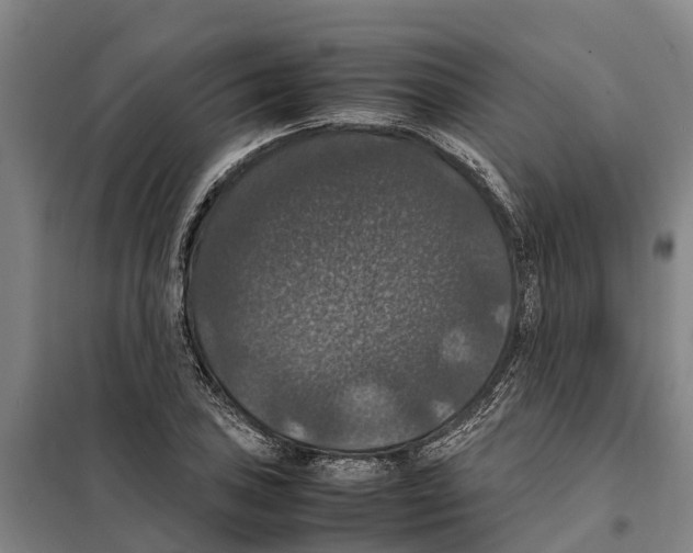 X0000098001027200804211125