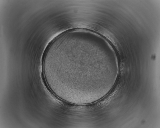X0000098001028200804211125