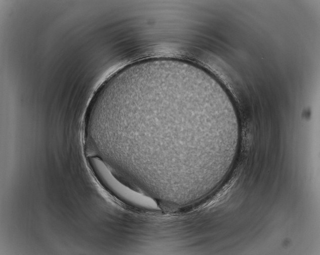 X0000098001034200804211125