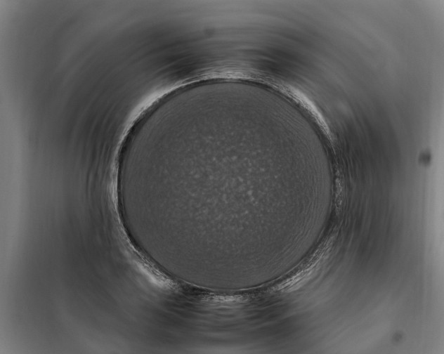 X0000098001035200804211125