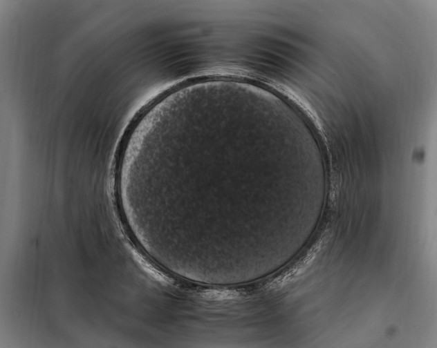 X0000098001037200804211125