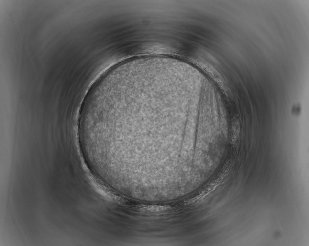 X0000098001039200804211125
