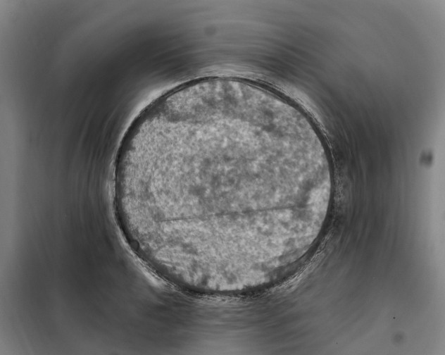 X0000098001040200804211126