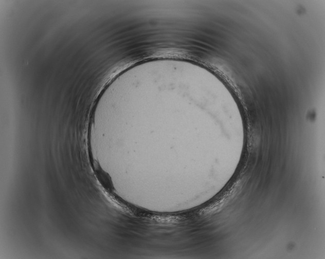X0000098001041200804211126