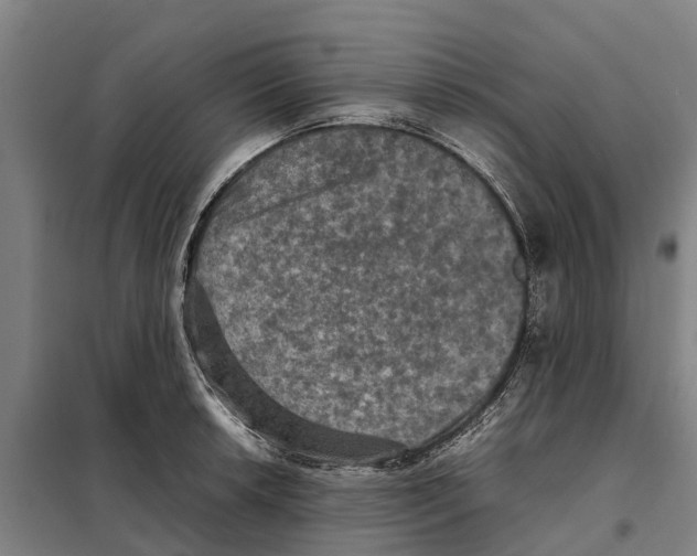 X0000098001042200804211126