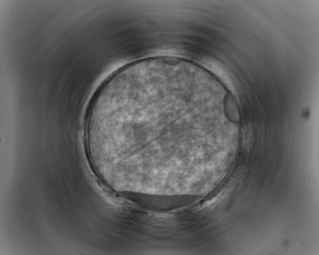 X0000098001043200804211126