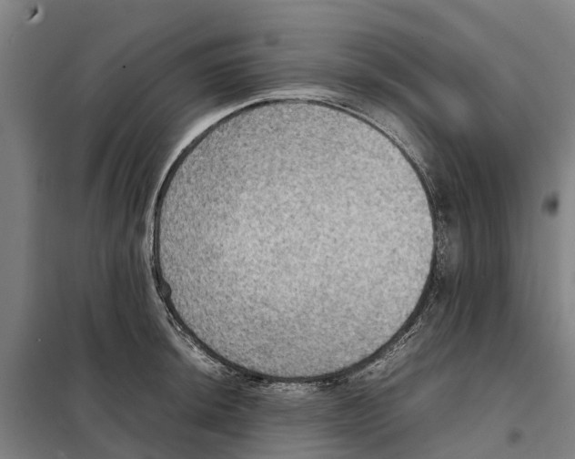 X0000098001044200804211126