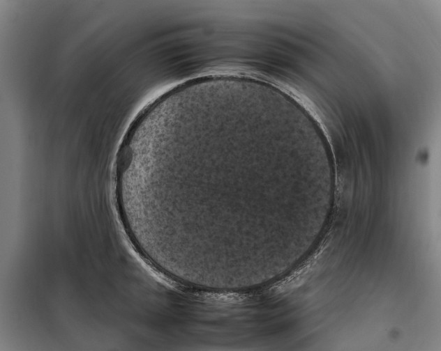 X0000098001045200804211126