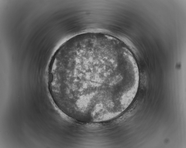 X0000098001046200804211126