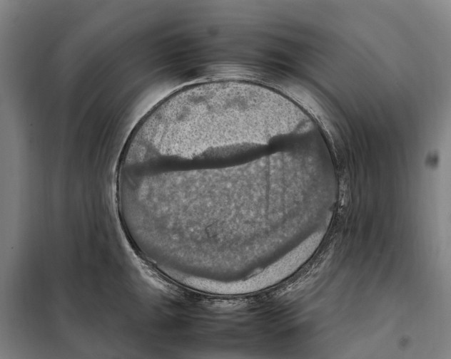 X0000098001047200804211126