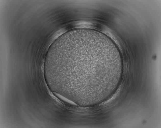 X0000098001049200804211126